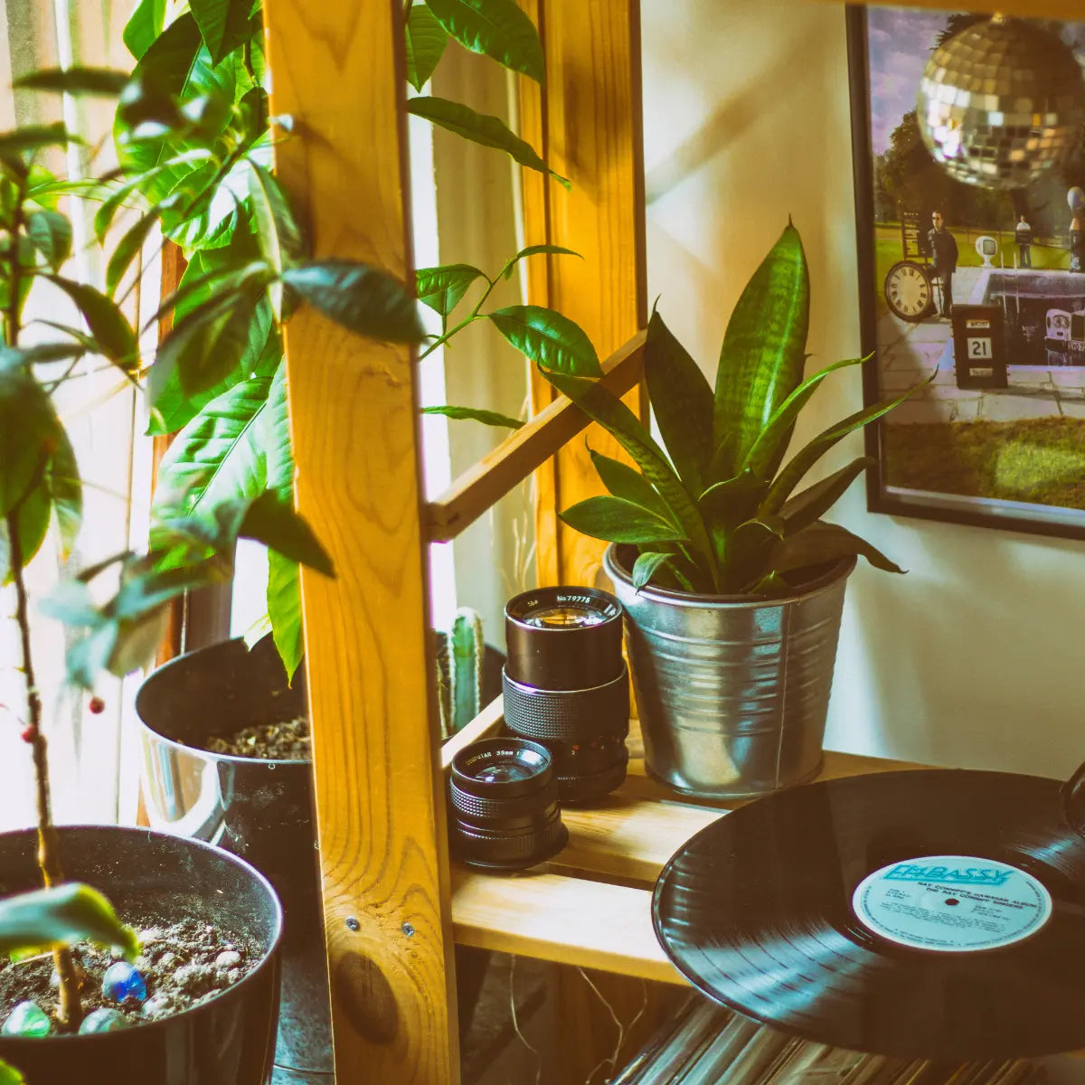 Vinyl Economics: Understanding the Value of Your Collection