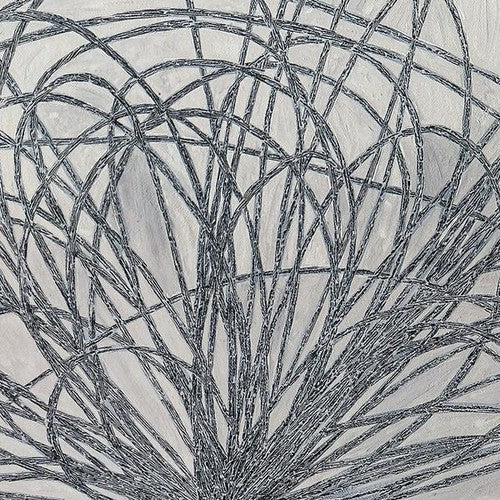 Stafraenn Hakon - Hausi