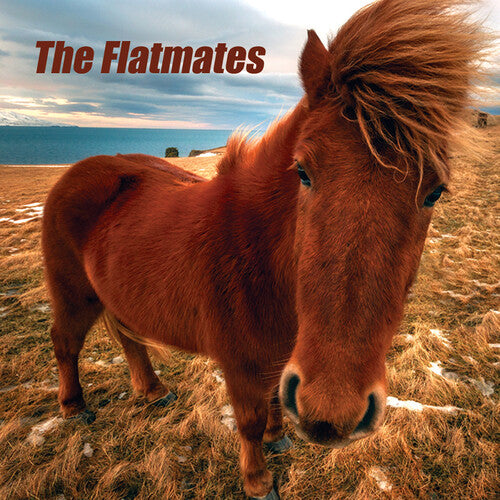 Flatmates - Flatmates