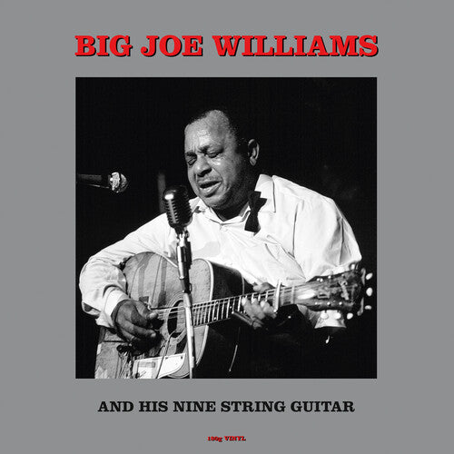 Big Joe Williams - And His Nine String Guitar (180gm Vinyl)