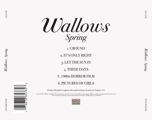 Wallows - Spring