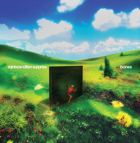 Rainbow Kitten Surprise - bones