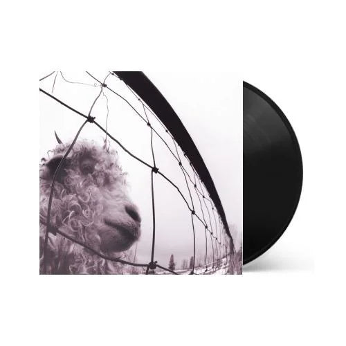Vs Vinyl - Pearl Jam Vinyl Records | Vinyl