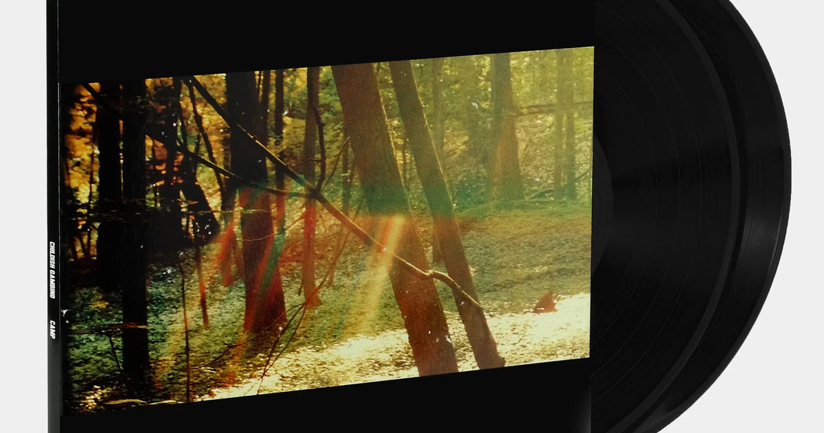 米2discs LP Childish Gambino Camp GLS012101 Glassnote (2) /00660 米2discs LP Childish Gambino Camp GLS012101 Glassnote (2