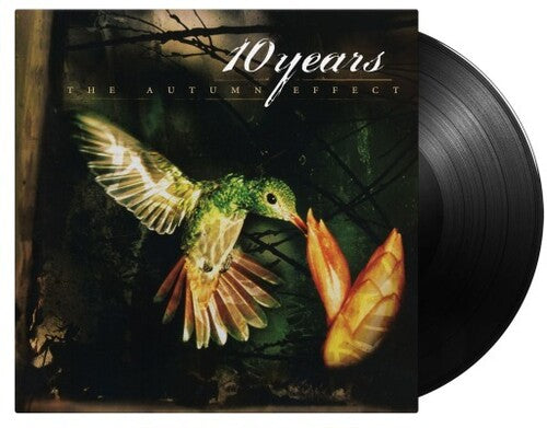 10 Years - Autumn Effect