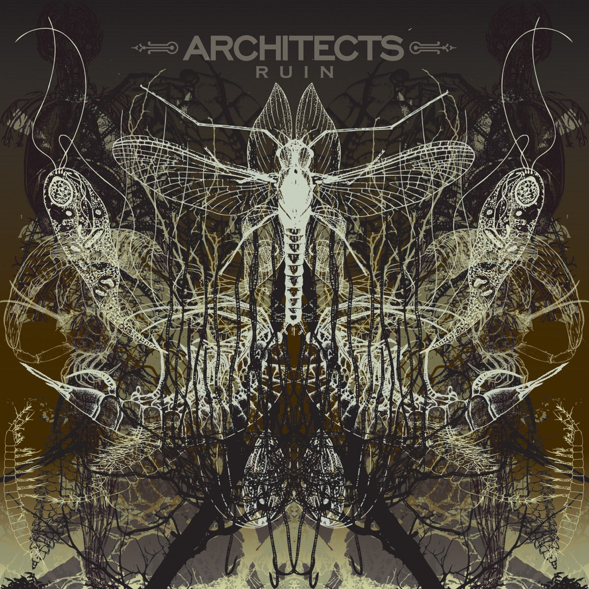 Architects - Ruin [Picture Disc] - Vinyl