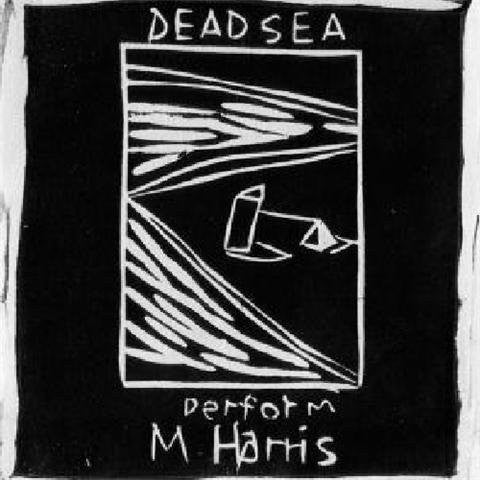 The Dead C - Max Harris