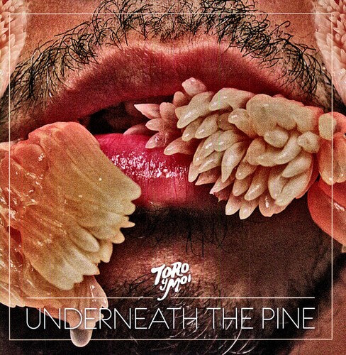 Toro y Moi - Underneath the Pine