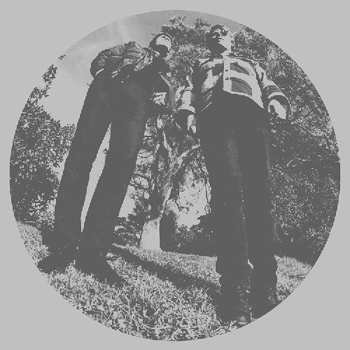 Ty Segall - Hair