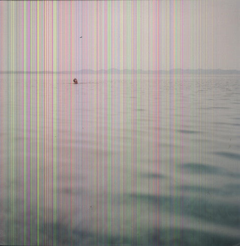 Blue Cranes - Swim