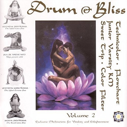 Various Artists - Drum & Bliss 2 (Various Artists)