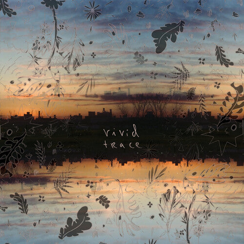 The Options - Vivid Trace