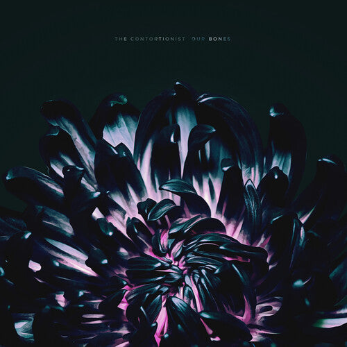 The Contortionist - Our Bones