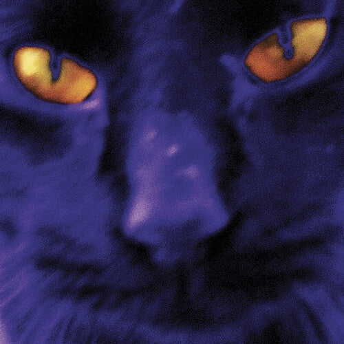 David Kilgour and the Heavy Eights - Bobbie's A Girl