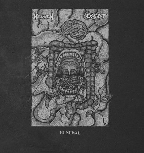 Exilent - Renewal (Split)
