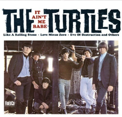 The Turtles - It Ain
