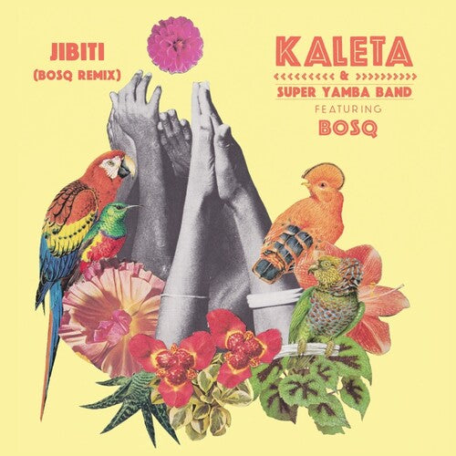 Kaleta & Super Yamba Band - Jibiti (Bosq Remix)