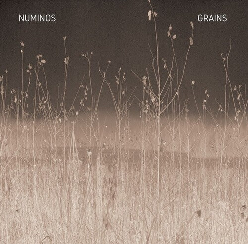 Numinos - Grains