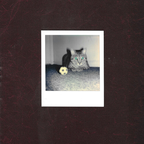 Goalie's Anxiety at the Penalty Kick - Ways of Hearing