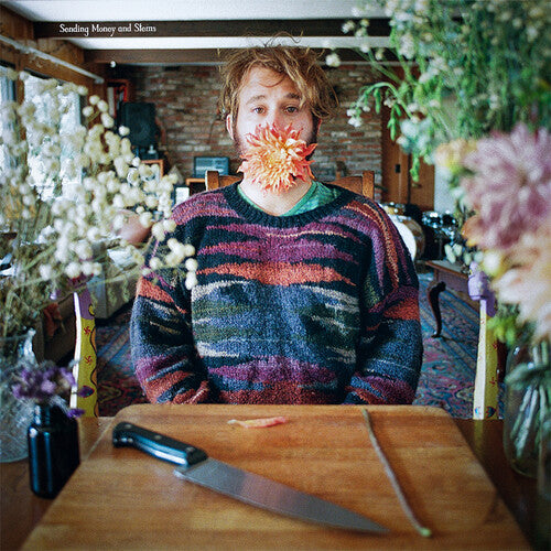 Joe Kaplow - Sending Money & Stems