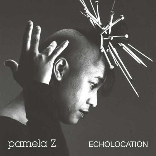 Pamela Z - Echolocation (Natural Swirl)