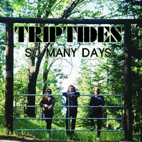 The Triptides - So Many Days
