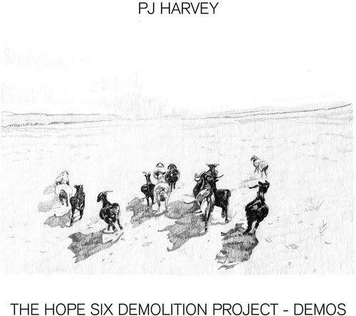 PJ Harvey - The Hope Six Demolition Project (Demos)