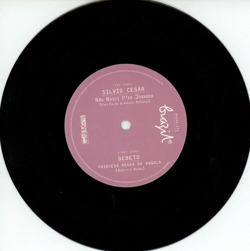 Silvia Cesar - Nao Nasci P