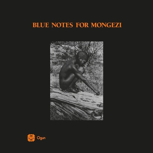 The Blue Notes - Blue Notes For Mongezi