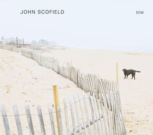 John Scofield - John Scofield