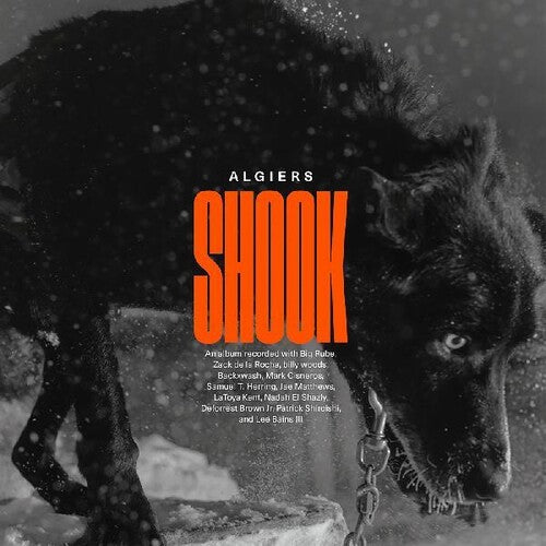 Algiers - Shook [2LP]