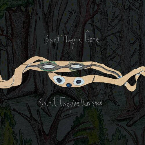 Animal Collective - Spirit They're Gone Spirit They've Vanished