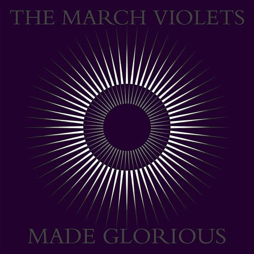 March Violets - Made Glorious