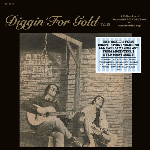 Various Artists - Diggin' For Gold Vol. 13 (Various Artists)