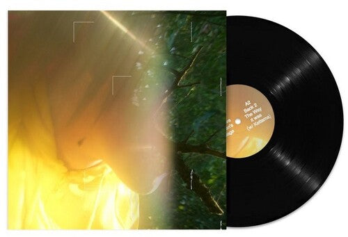 Tommy Holohan - Pulse Love : Heaven's Passage