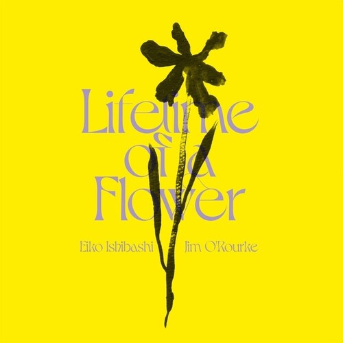 Lifetime Of A Flower