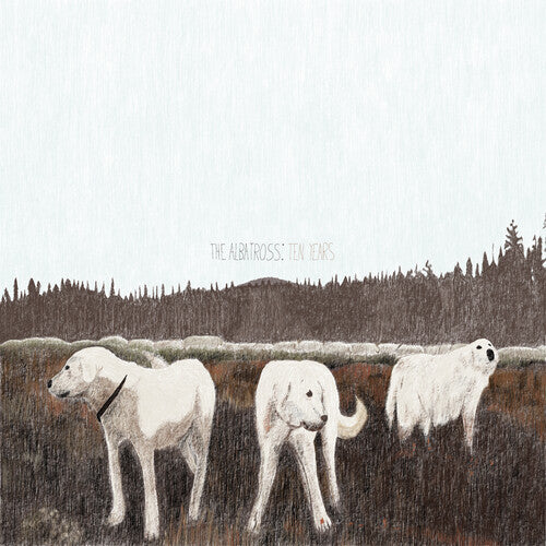 Foxing - The Albatross: Ten Years