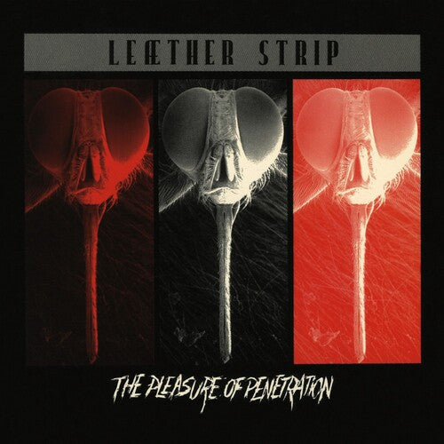 Leather Strip - Pleasure Of Penetration [Red]