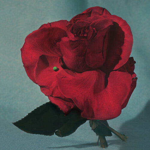 METZ - Up on Gravity Hill [Clear/Red]