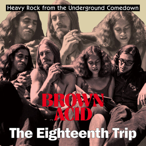 Various Artists - Brown Acid - The Eighteenth Trip (Various Artists)