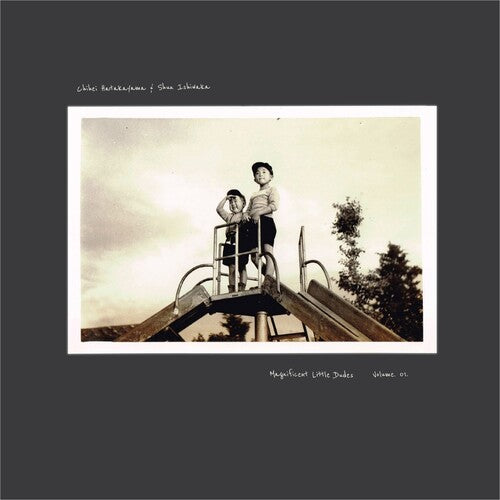Chihei Hatakeyama - Magnificent Little Dudes Vol. 1