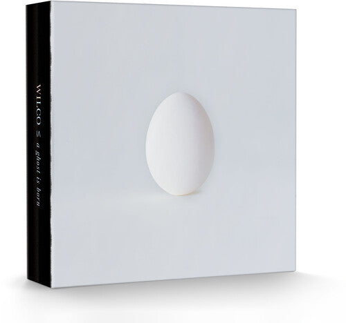 Wilco - A Ghost Is Born  [9LP Box Set]