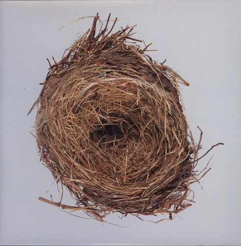 Wilco - A Ghost Is Born
