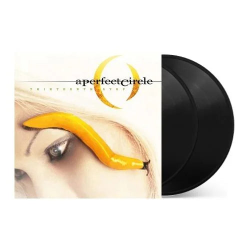 A Perfect Circle - Thirteenth Step