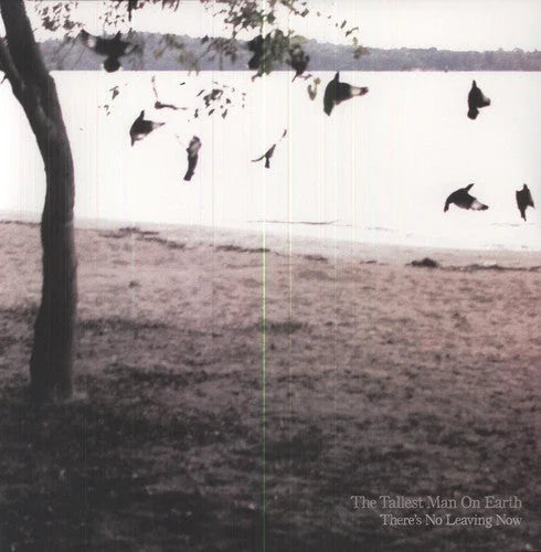 The Tallest Man on Earth - There