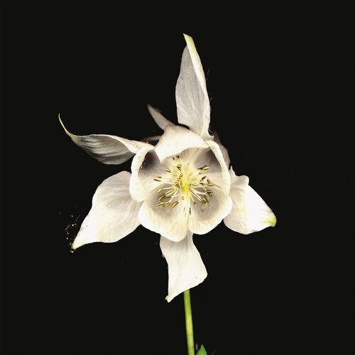 Fridge - Happiness [2LP]