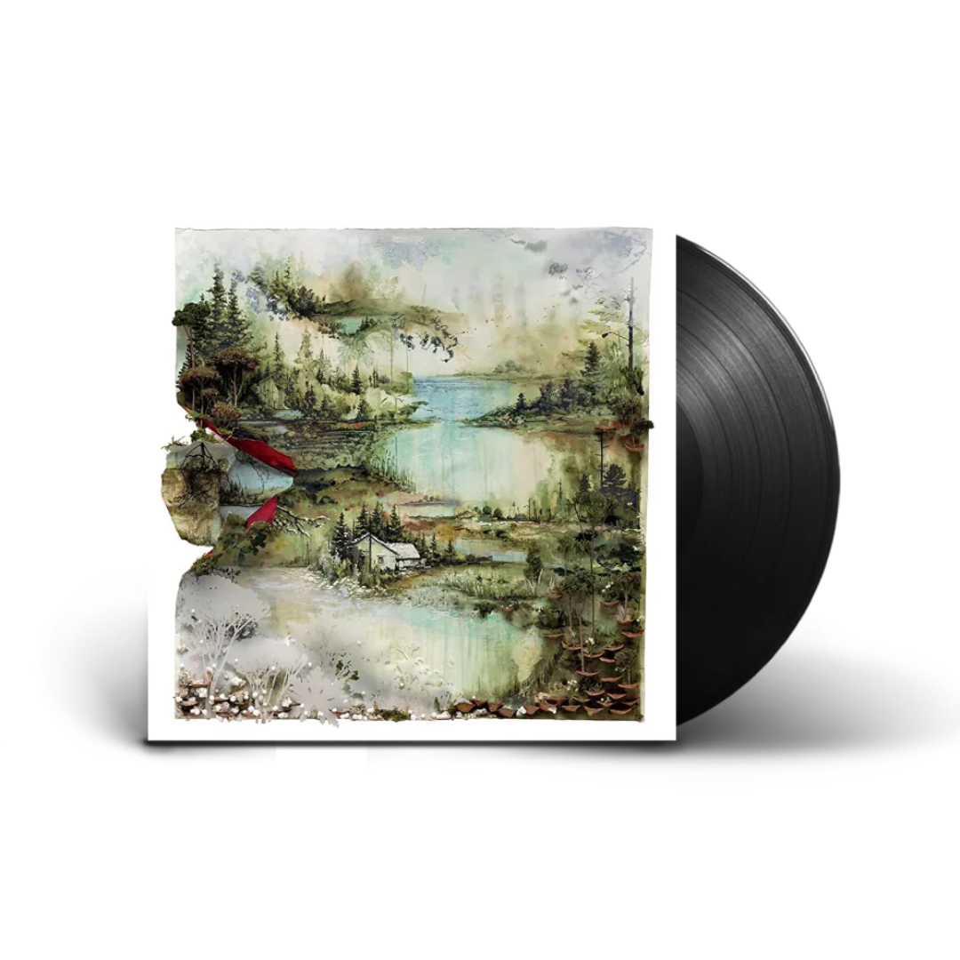 Bon Iver - Bon Iver