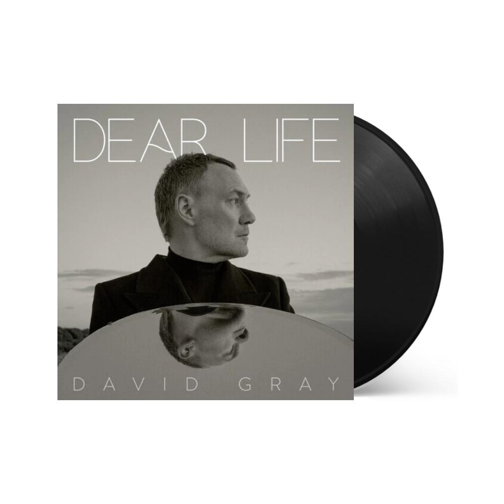 David Gray - Dear Life - Vinyl