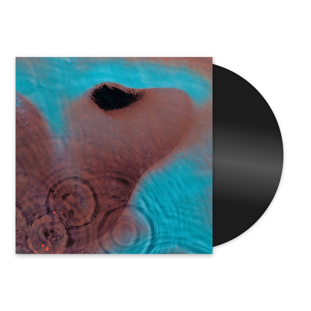 Pink Floyd - Meddle [Japan Import] - Vinyl
