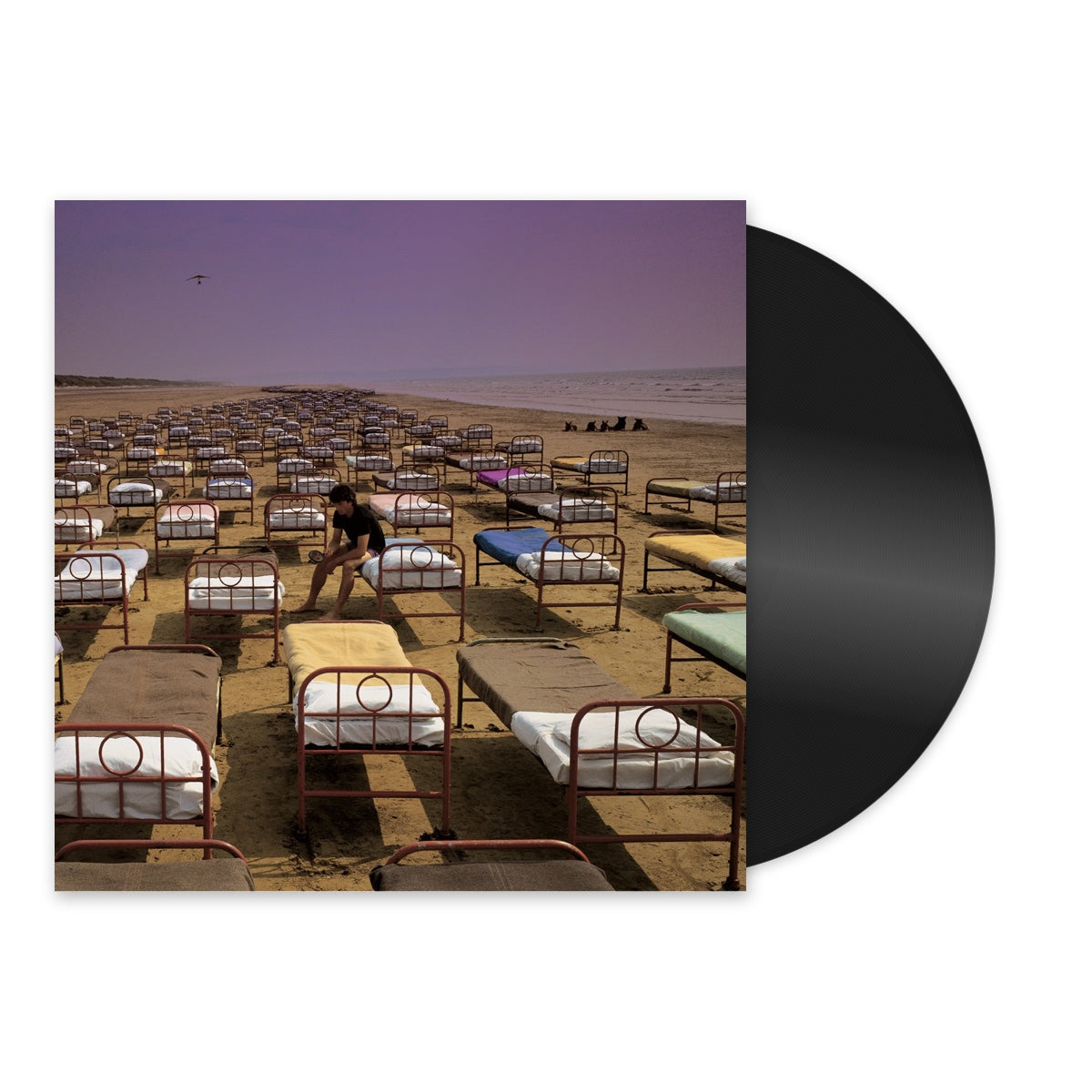 Pink Floyd - Momentary Lapse Of Reason - Vinyl